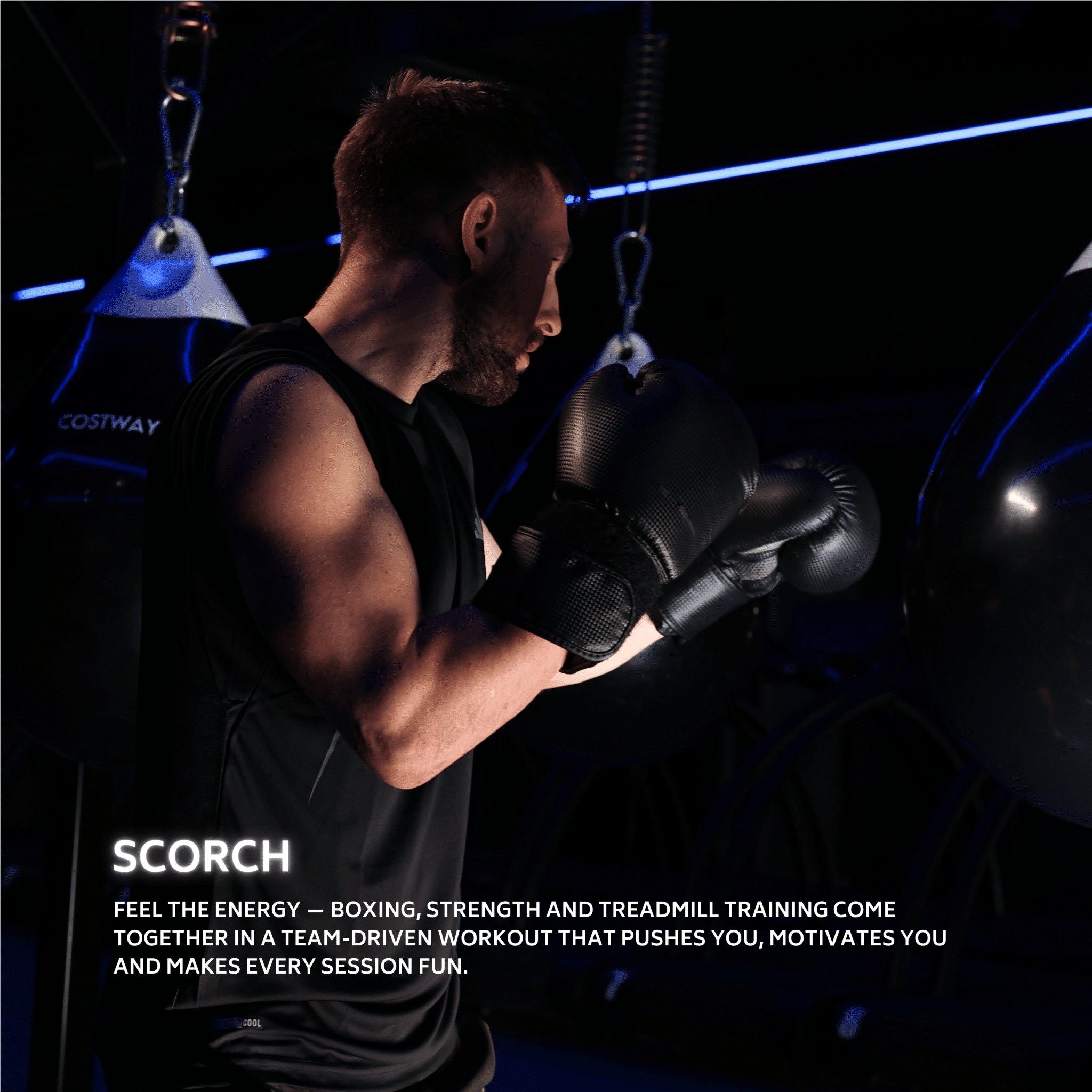 Scorch